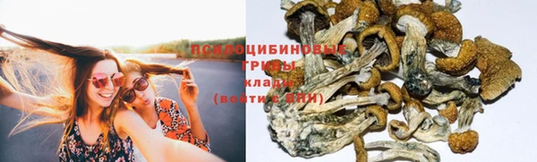 PSILOCYBIN Балахна