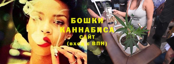 PSILOCYBIN Балахна