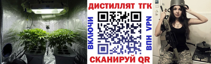 где продают   Сортавала  Дистиллят ТГК концентрат 